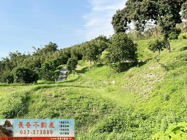 苗栗公館農地-3