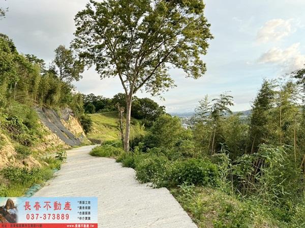 苗栗公館農地-8