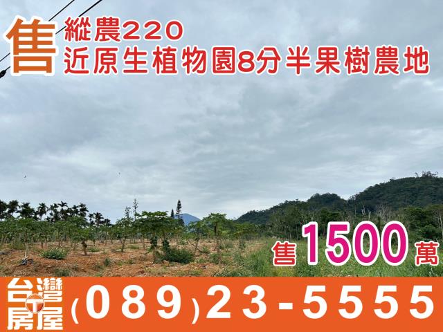 卑南農地-1