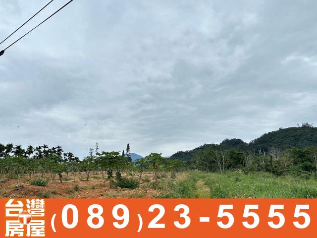 卑南農地-2