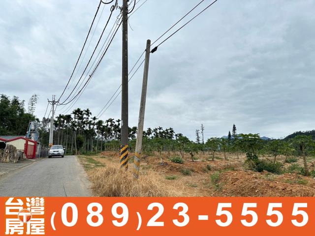 卑南農地-3