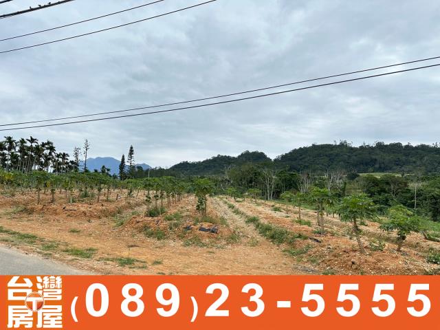 卑南農地-4