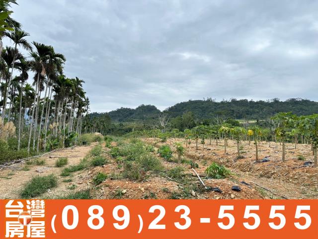 卑南農地-6