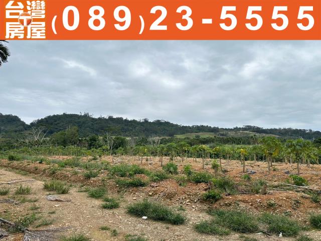 卑南農地-7
