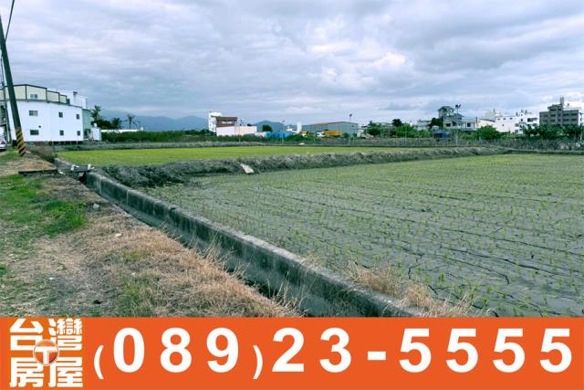 台東市農地-8