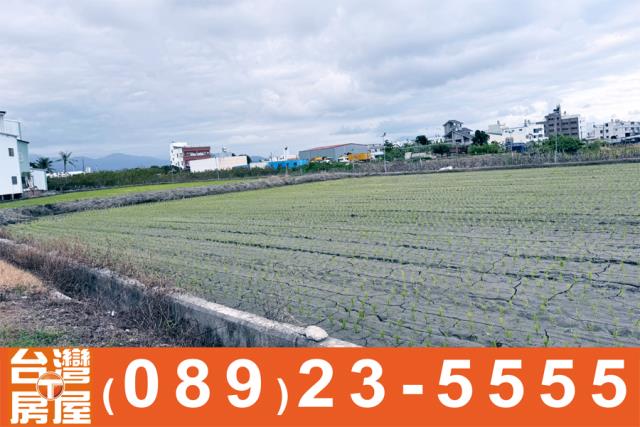 台東市農地-9