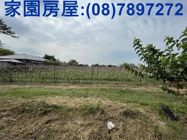 屏東潮州農地-2