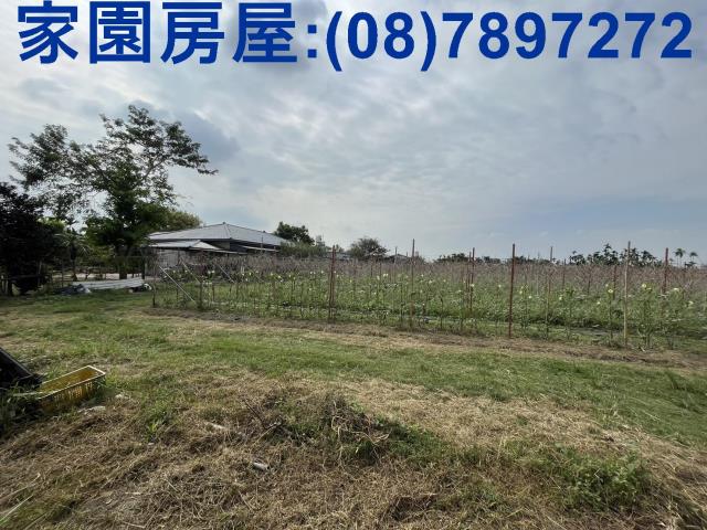 屏東潮州農地-3