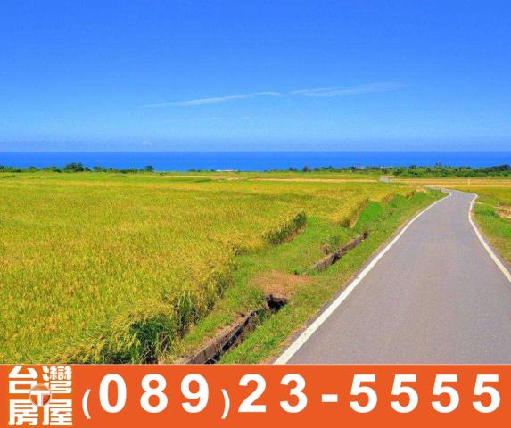 台東長濱農地-11