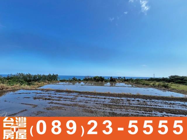 台東長濱農地-4