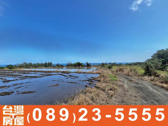 台東長濱農地-6