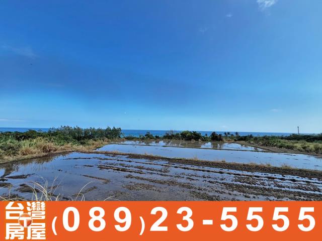 台東長濱農地-8