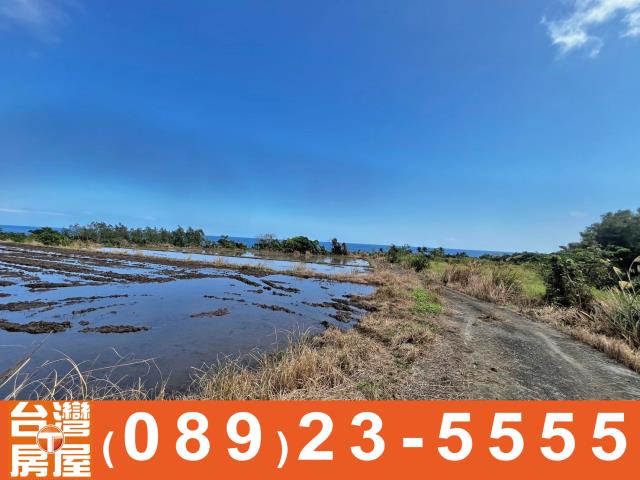 台東長濱農地-9