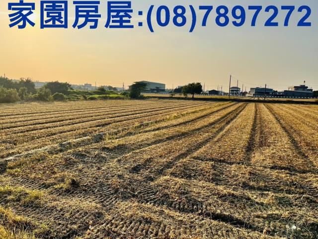 屏東萬丹農地-1