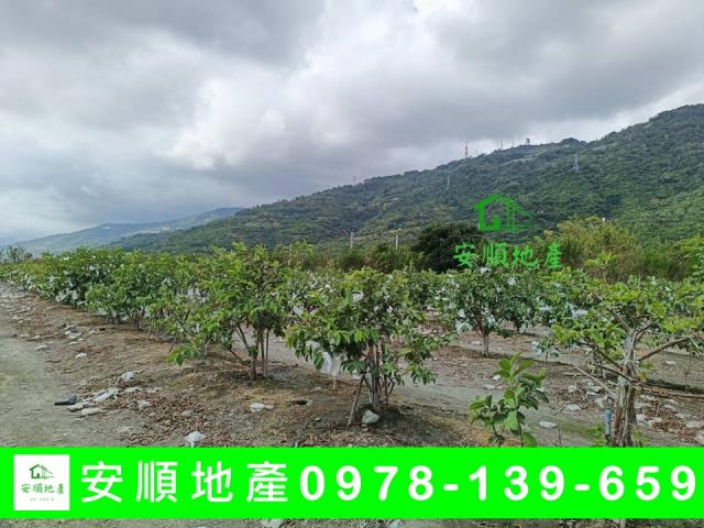 台東太麻里農地-1