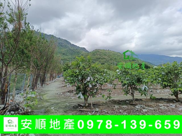 台東太麻里農地-4