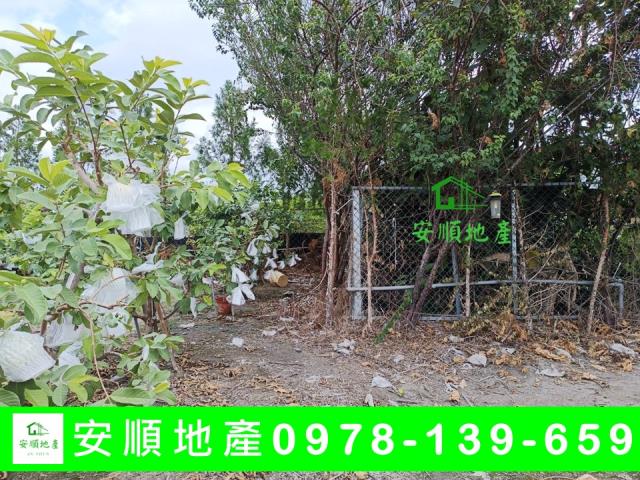 台東太麻里農地-5