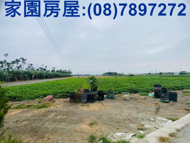 屏東新園農地-10