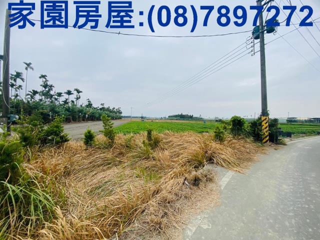 屏東新園農地-9