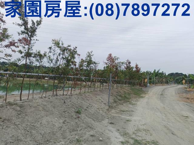 屏東潮州農地-3