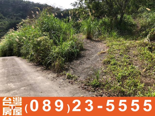 台東農地-11