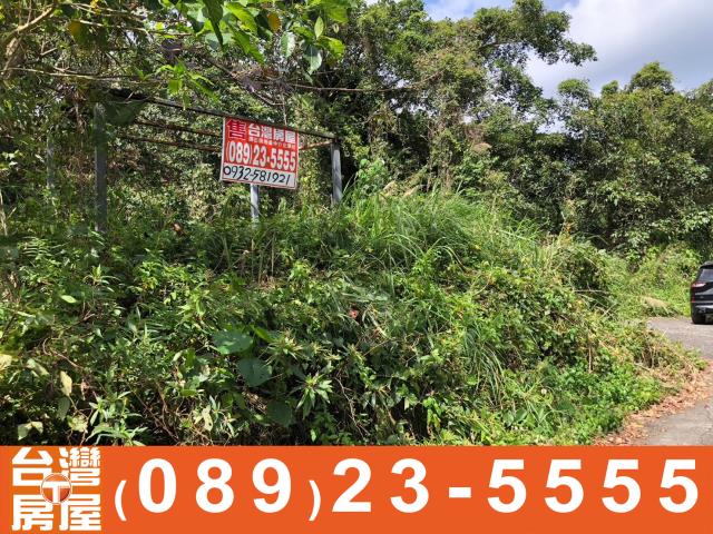 台東農地-3