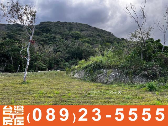 鑽石台東房地產買賣