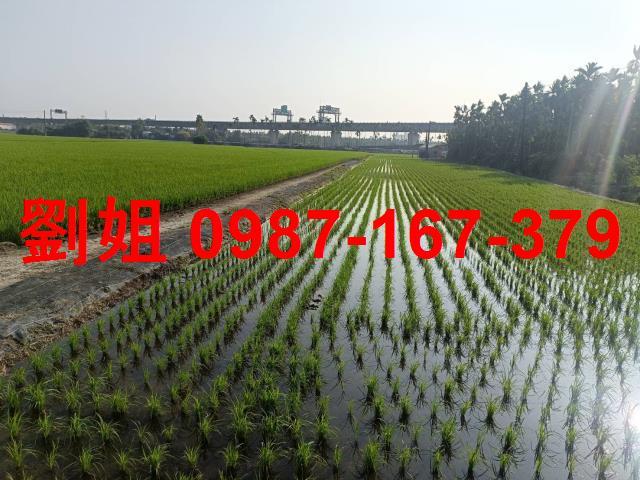 潮州農地-1