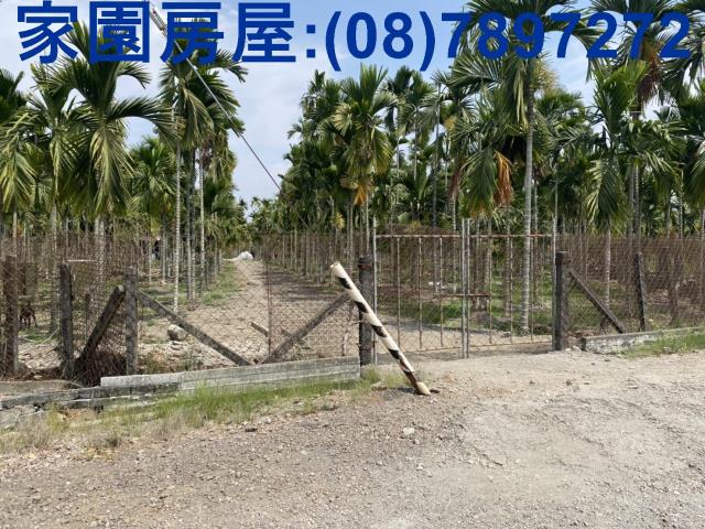 屏東萬巒農地-3