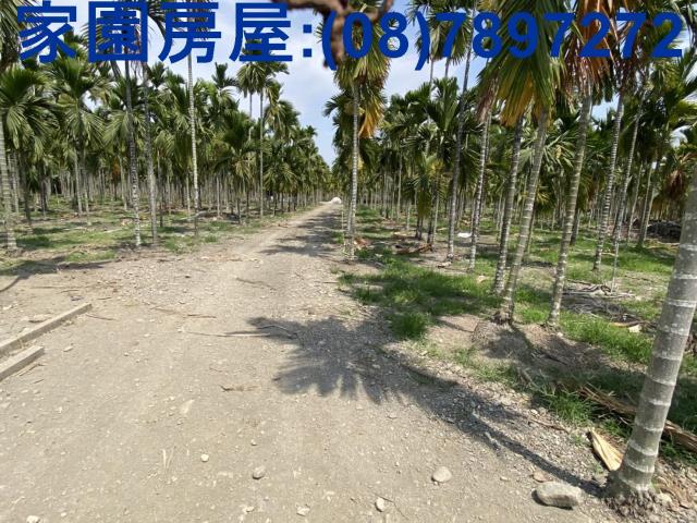 屏東萬巒農地-6