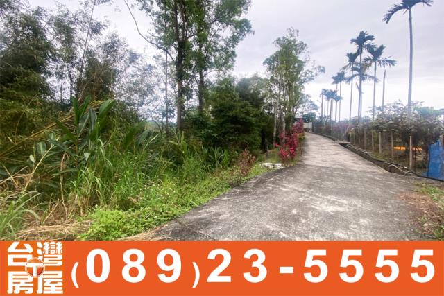 成功農地-12