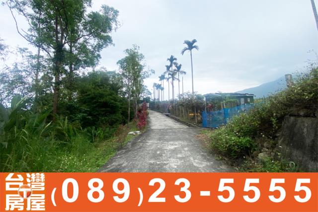 成功農地-13