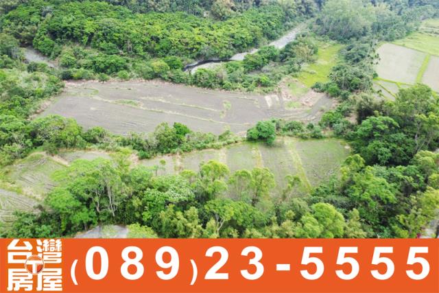 成功農地-3