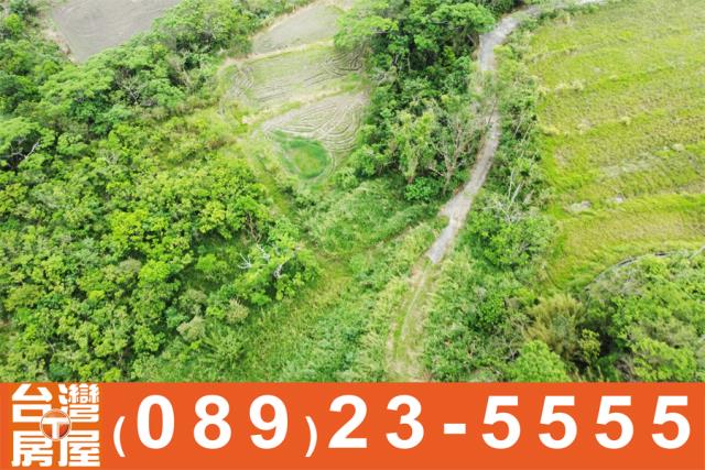 成功農地-5