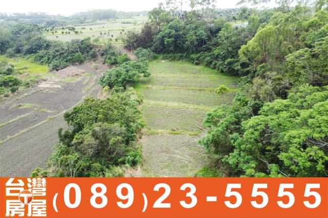 成功農地-6