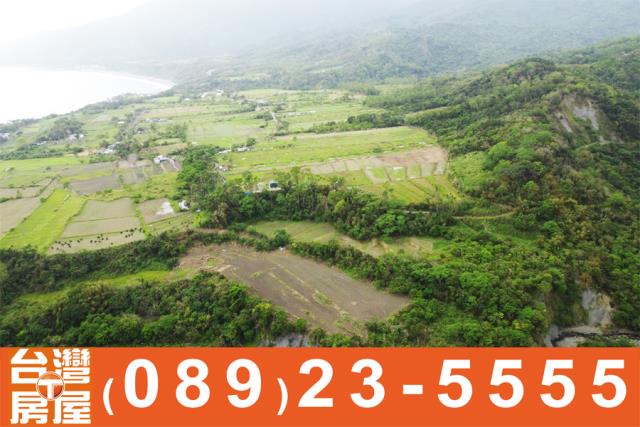 成功農地-7