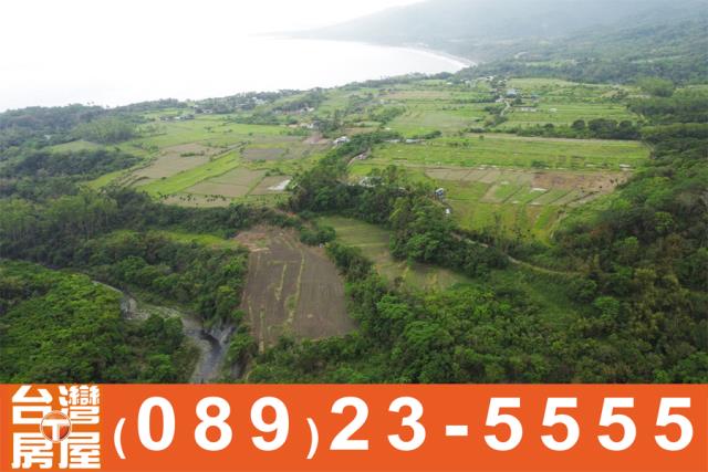 成功農地-8