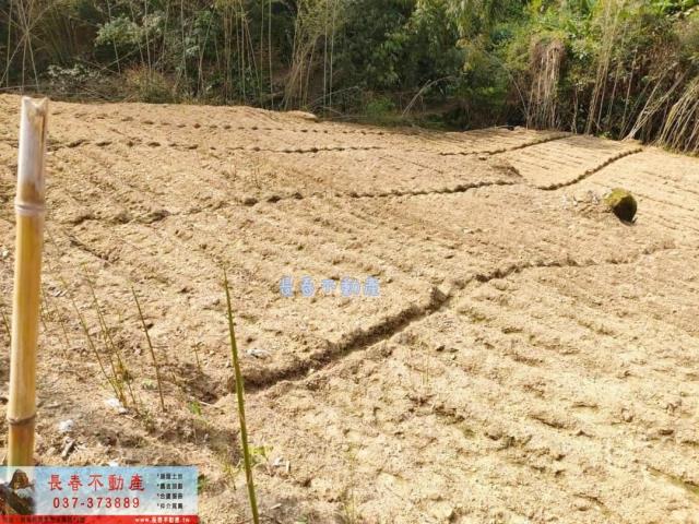 苗栗農地-2