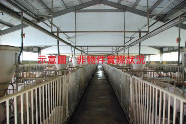 屏東九如農地-1