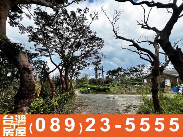 鑽石台東土地買賣