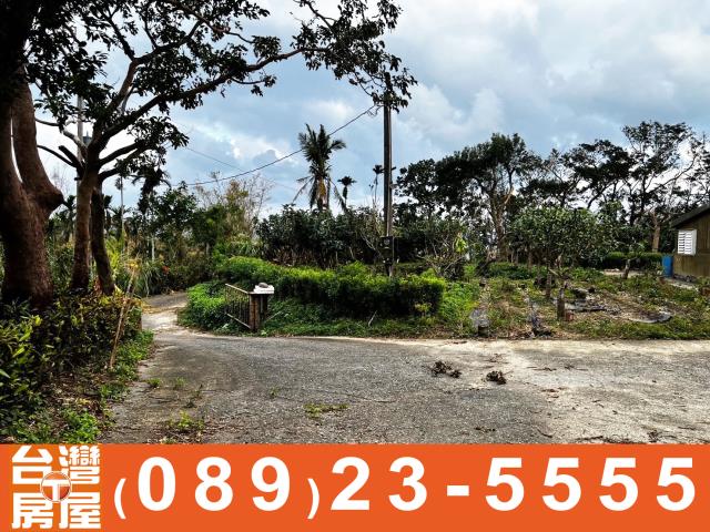 鑽石台東房地產買賣