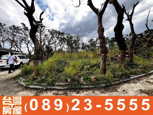 鑽石台東房地產買賣