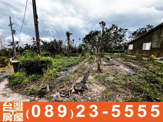 鑽石台東房屋買賣