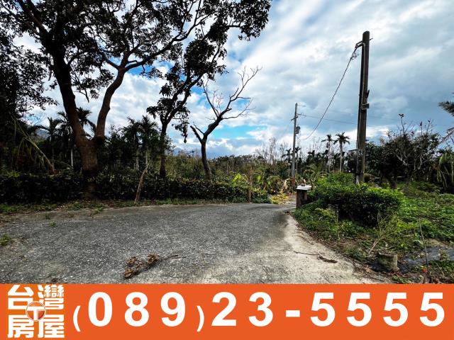 台東長濱農地-8
