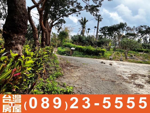 台東長濱農地-10