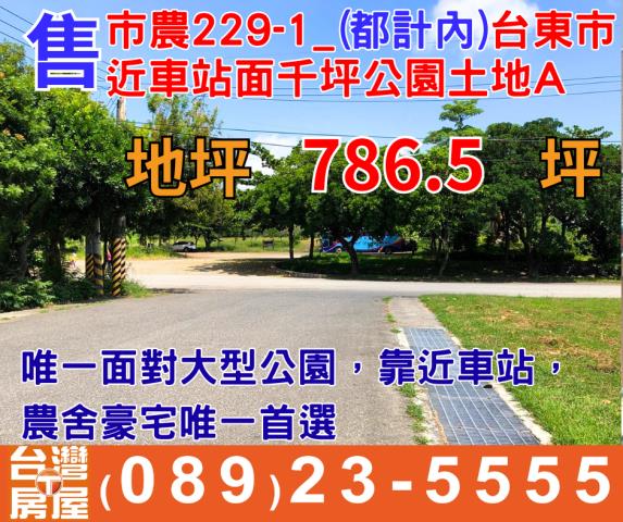 台東台東市農地-1