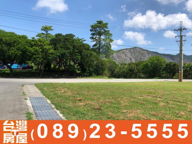 鑽石台東房地產買賣