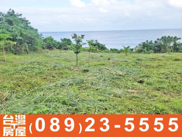 台東農地-3