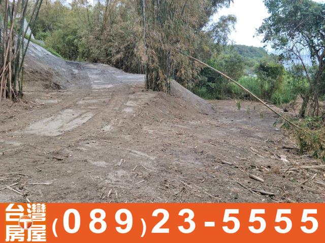 台東農地-4