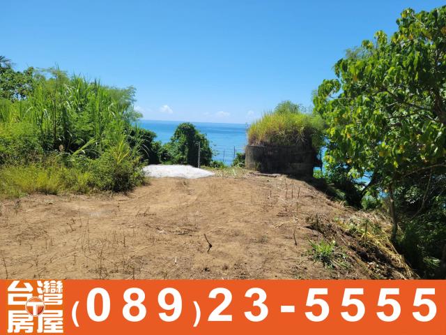 台東農地-5